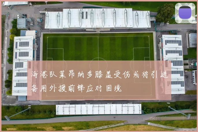 海港队莱昂纳多膝盖受伤或将引进备用外援前锋应对困境