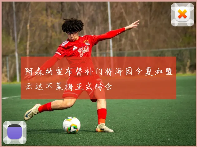阿森纳宣布替补门将海因今夏加盟云达不莱梅正式转会