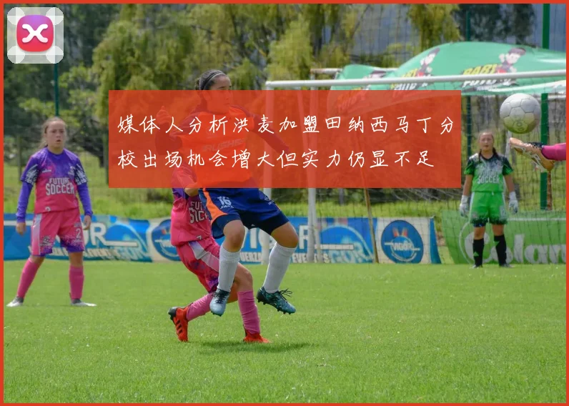 媒体人分析洪麦加盟田纳西马丁分校出场机会增大但实力仍显不足