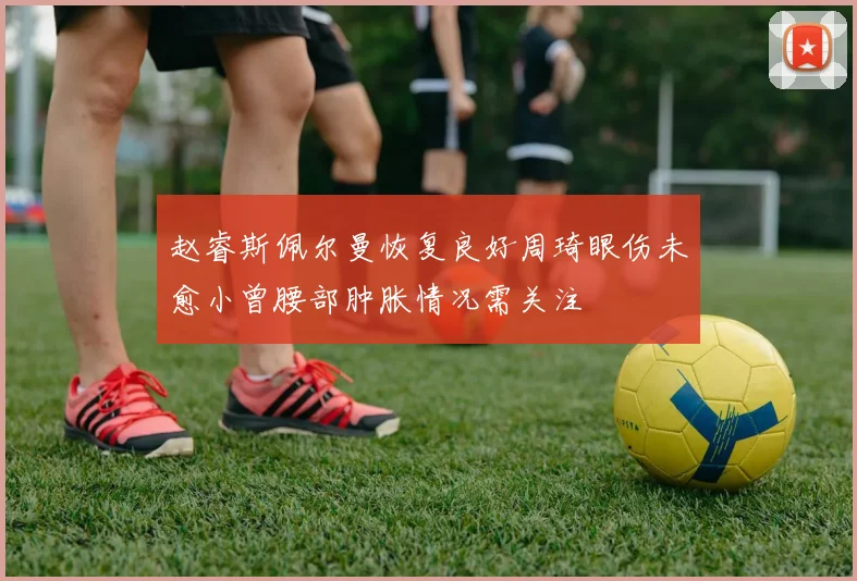 赵睿斯佩尔曼恢复良好周琦眼伤未愈小曾腰部肿胀情况需关注
